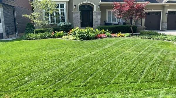 Weed & Feed Programs, service at Bill's Ground Care