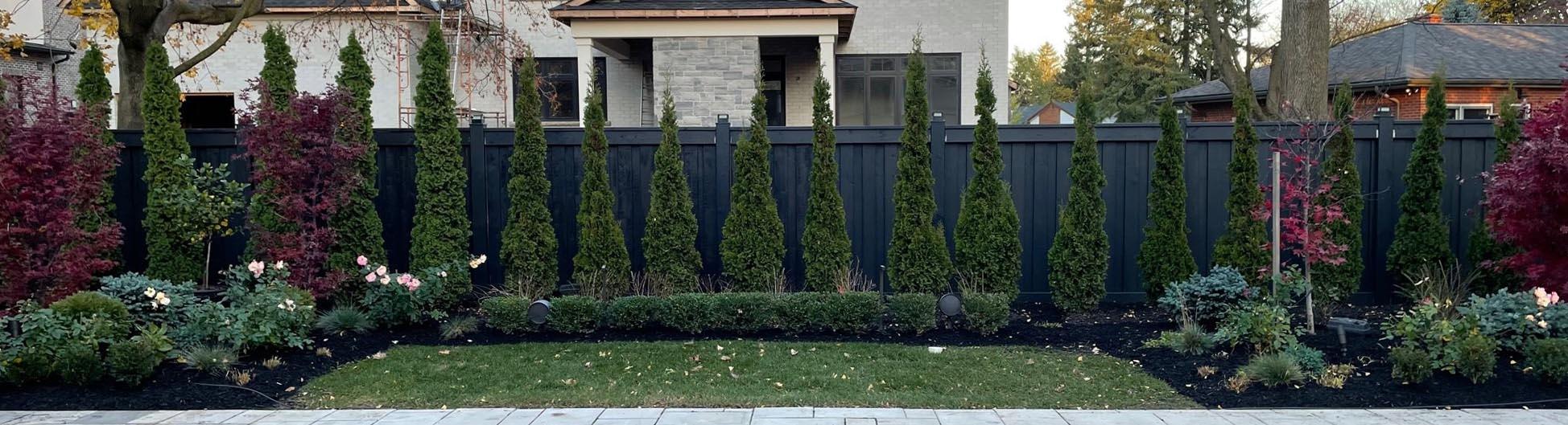 A privacy border along a black board fence, with a tall row of columnar arborvitae, a low clipped boxwood hedge, uplighting, and Japanese maples and roses framing the ends.