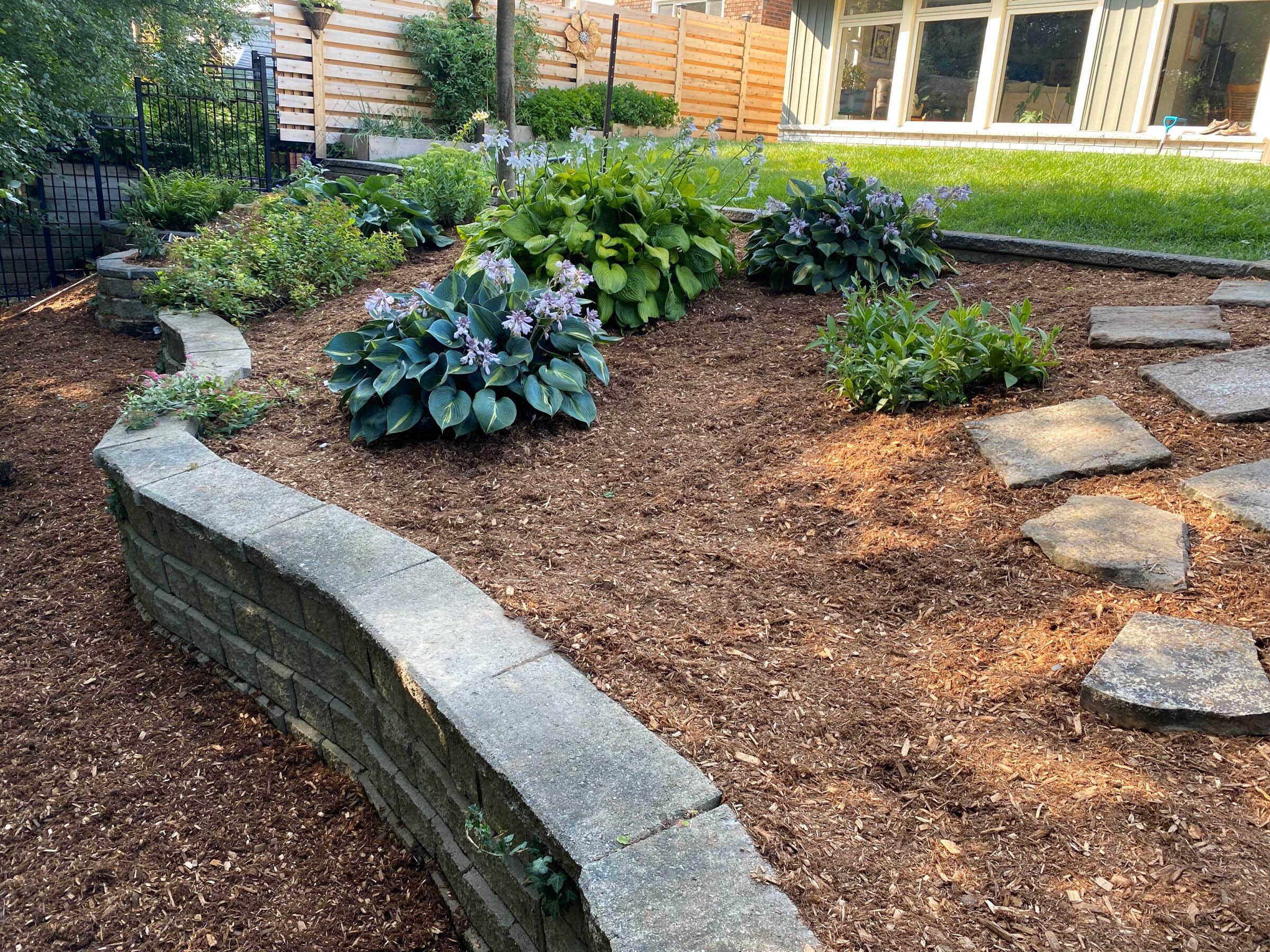 A raised mulched garden bed with a curved stone retaining wall, flagstone stepping pads, and flowering hostas, bordered by a cedar privacy fence and green lawn.