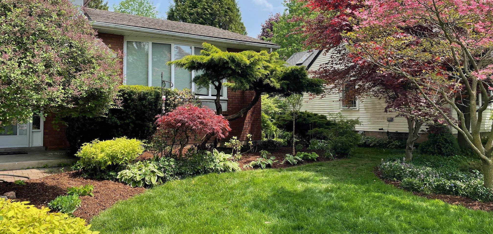 A lush garden with blooming trees and shrubs surrounds a suburban house under a clear blue sky, creating a serene landscape.
