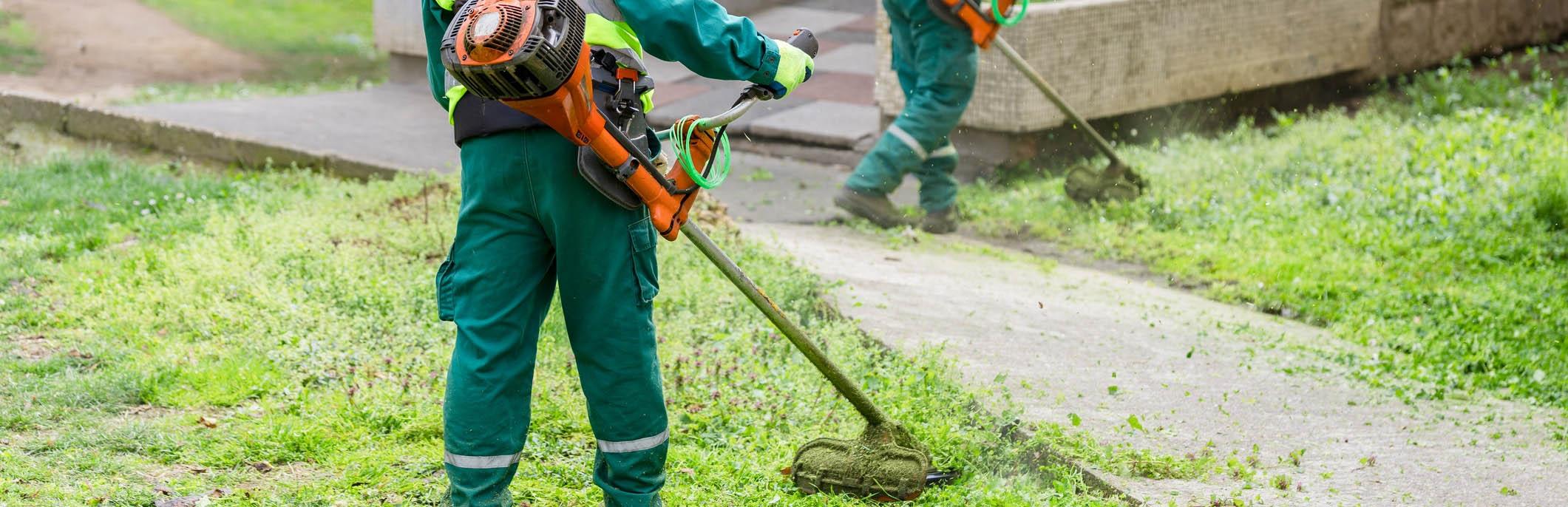 String trimmers cleanly edge the grass along a paved walkway, keeping the border crisp and tidy.