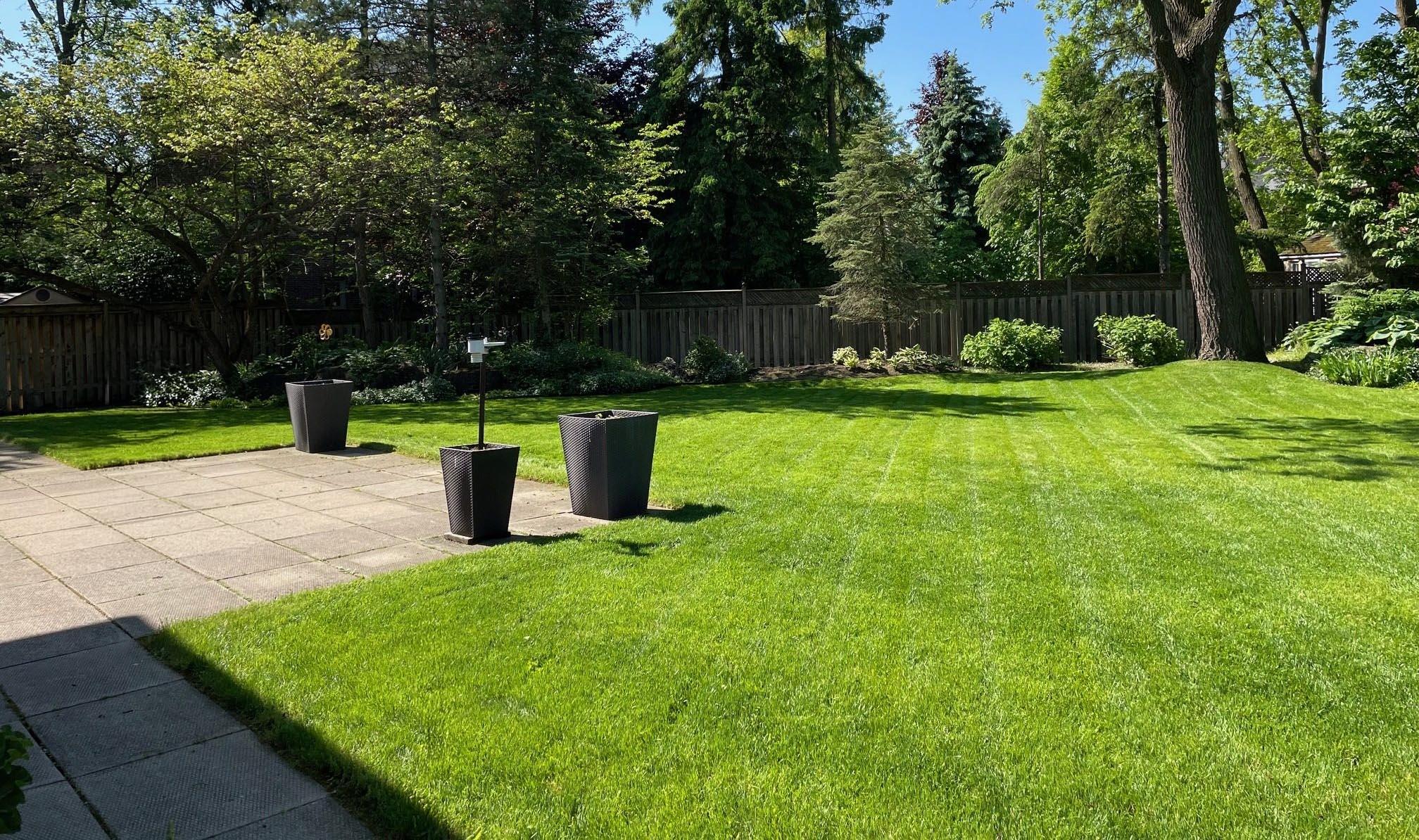 A person mows the lawn in a sunny backyard, surrounded by trees, neatly trimmed grass, and large potted plants.