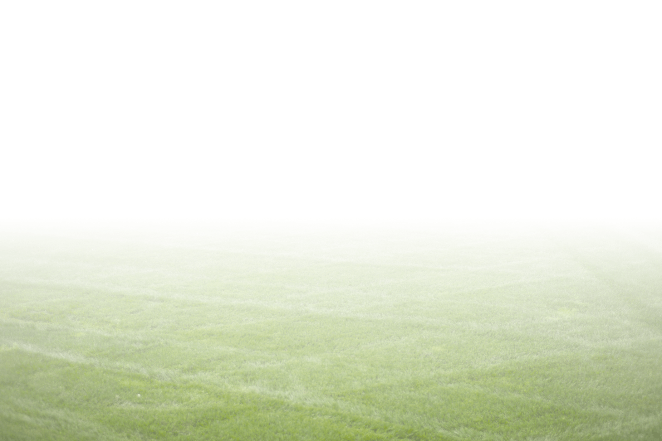 A foggy field with lush green grass extends into the distance, creating a serene and mysterious atmosphere.