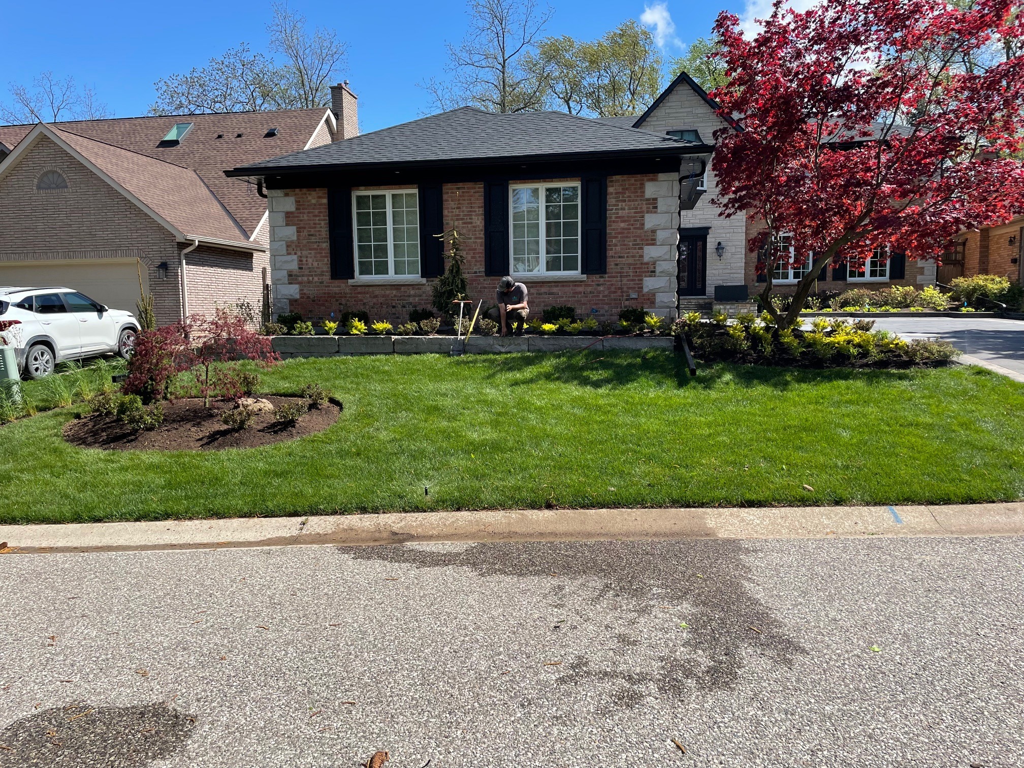 A person tends a garden in front of a brick house, surrounded by lush green grass and a flowering tree on a sunny day.