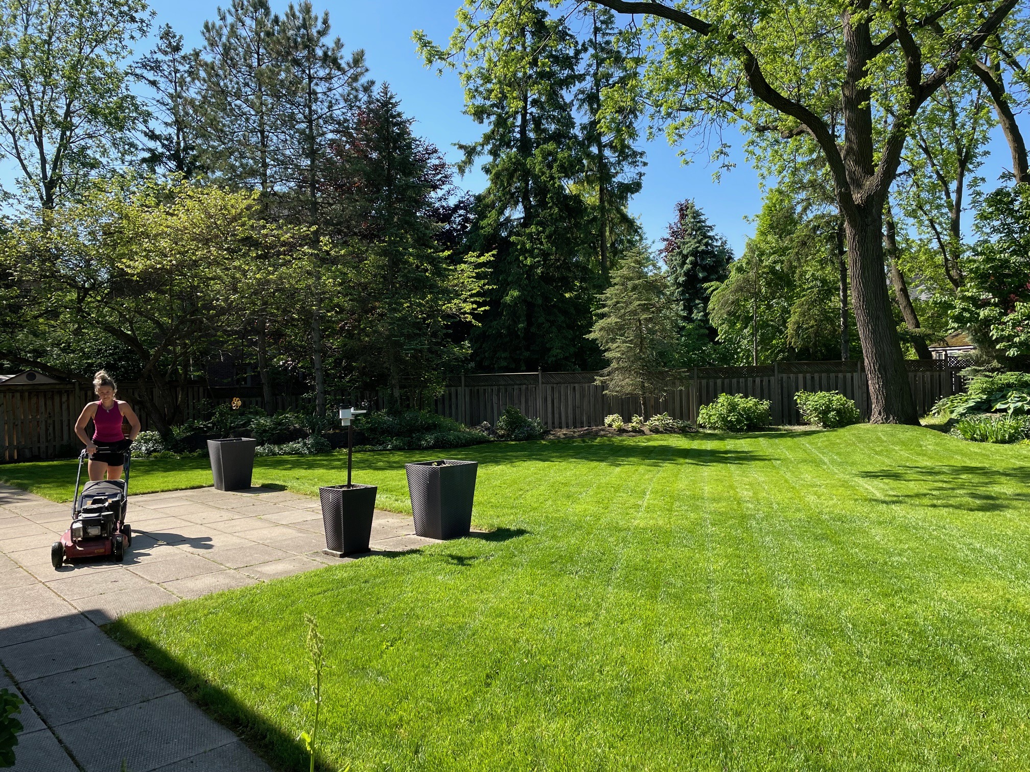 A person mows the lawn in a sunny backyard, surrounded by trees, neatly trimmed grass, and large potted plants.