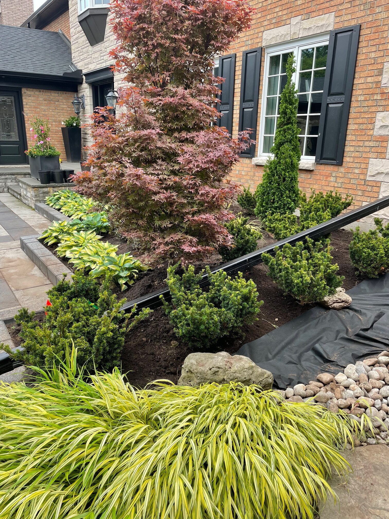 A landscaped garden with a variety of shrubs and foliage is beside a brick house featuring black shutters and a bay window.