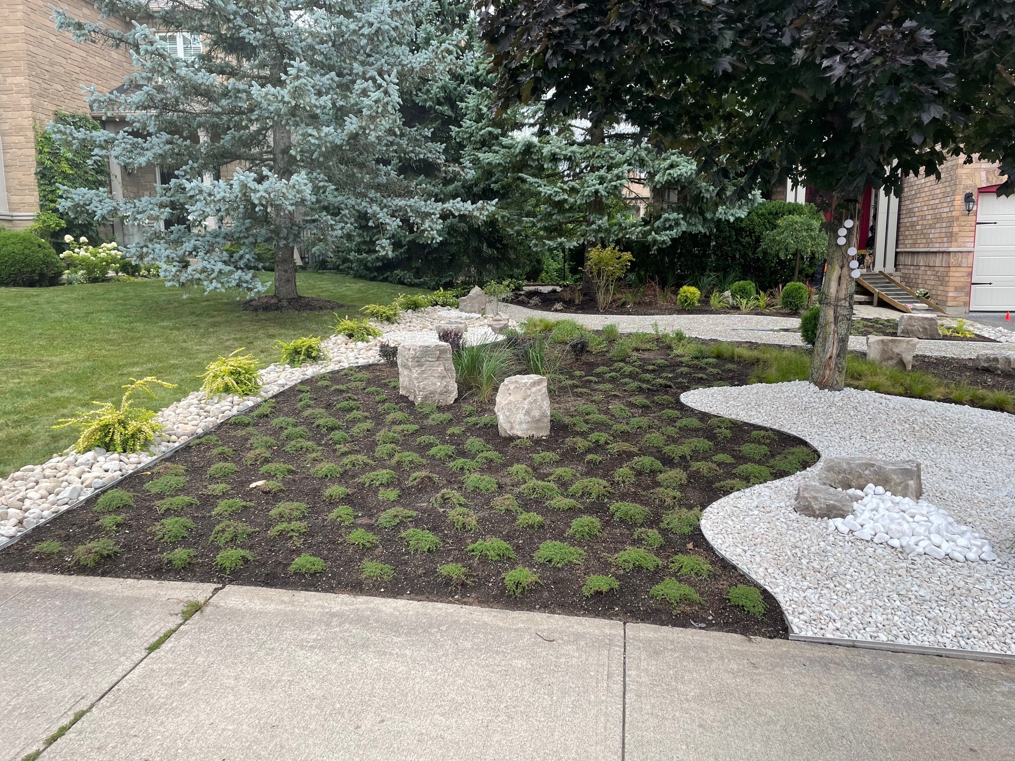 Neatly landscaped garden with a mix of shrubs, rocks, and pebbles surrounds a house. Trees provide shade and visual interest.