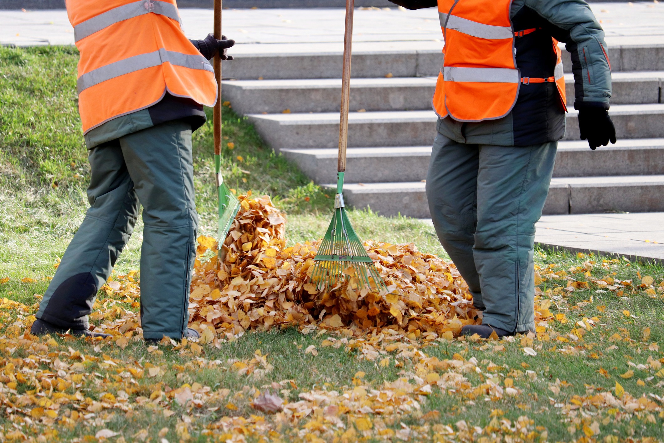 Two persons in orange vests rake autumn leaves into a pile on a grassy area near stone steps.