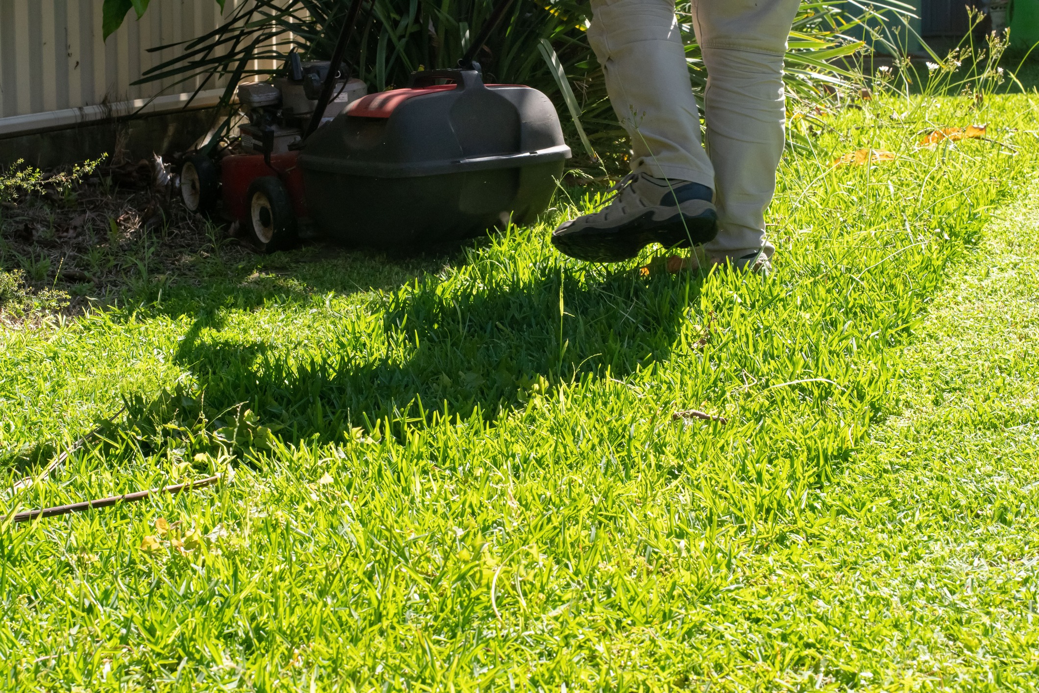A person mowing lawn with a push mower in a sunny garden, wearing light pants and shoes, next to a metal fence.