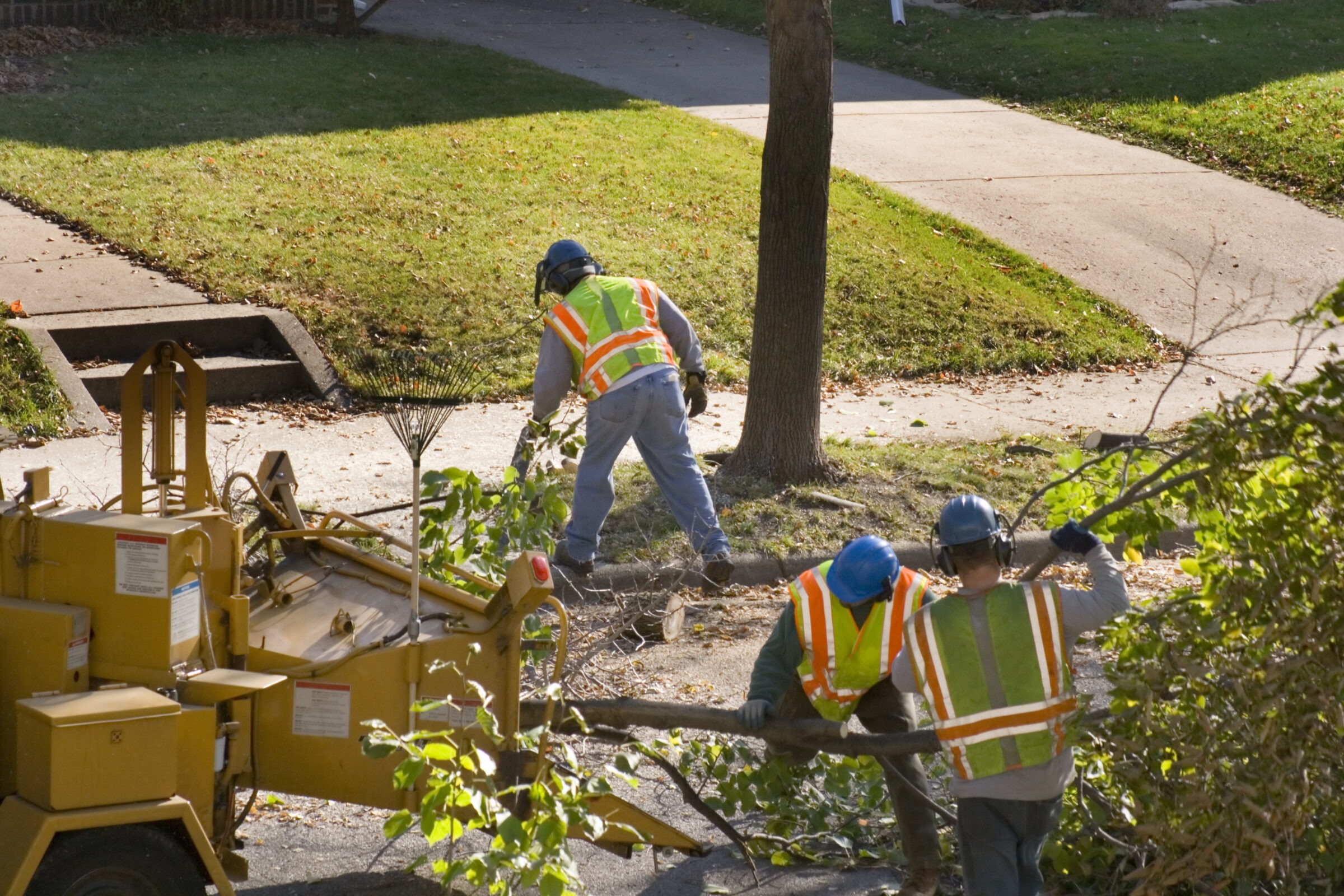 Three people in safety vests and helmets operate a wood chipper, collecting branches along a suburban sidewalk surrounded by grass.