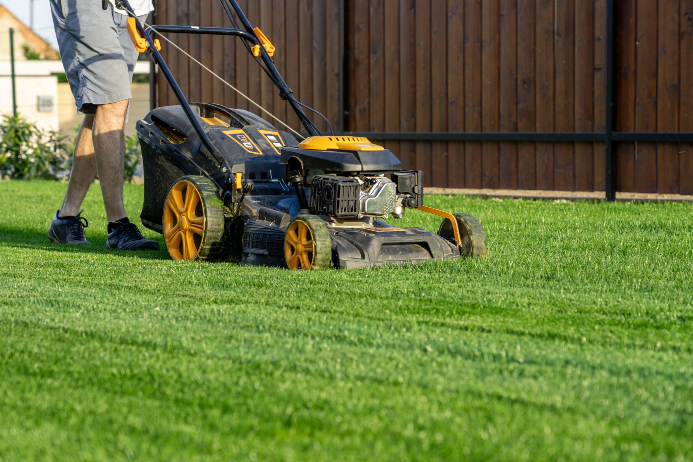 A person mows a lush green lawn with a push lawnmower near a wooden fence, wearing shorts and black shoes.