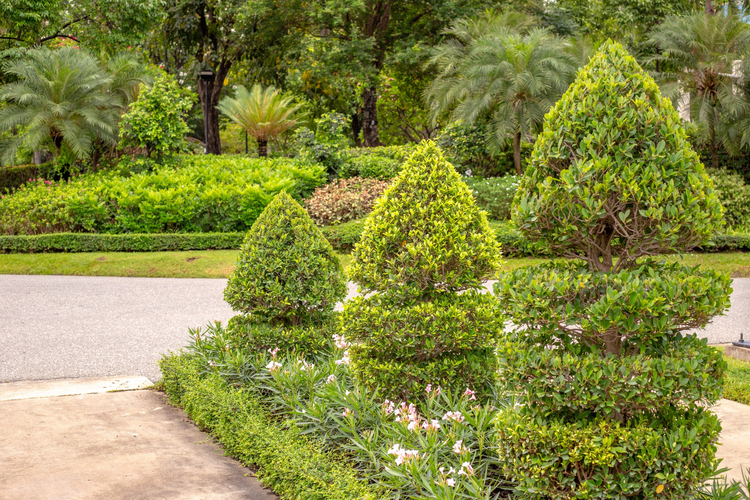 Neatly trimmed topiary trees, bright green foliage, and pink flowers adorn a peaceful garden path with a backdrop of lush trees.