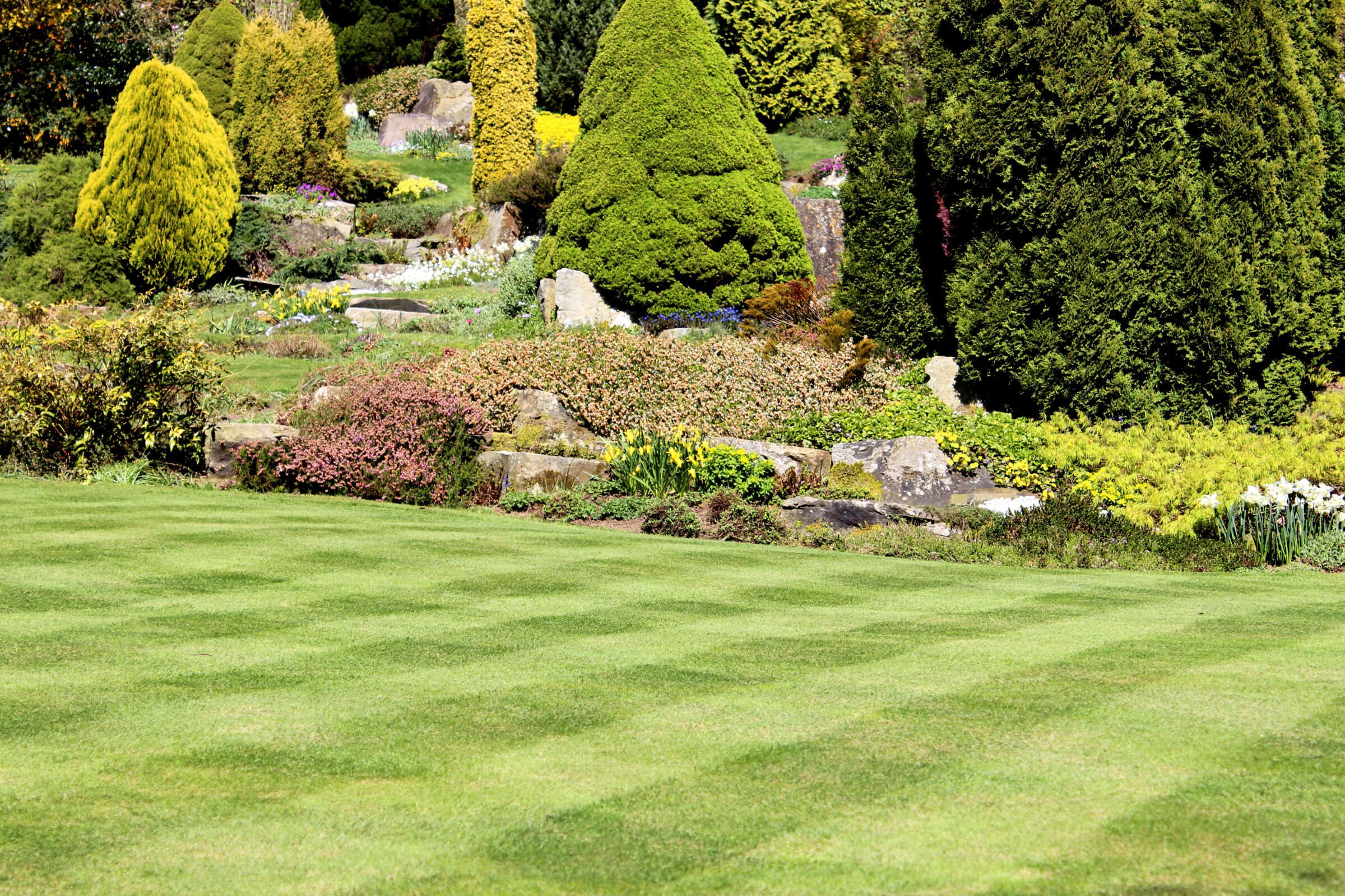 Lush garden with manicured lawn, vibrant shrubs, and colorful flowers. Trees and rocks create a serene, beautifully landscaped outdoor scene. No people visible.