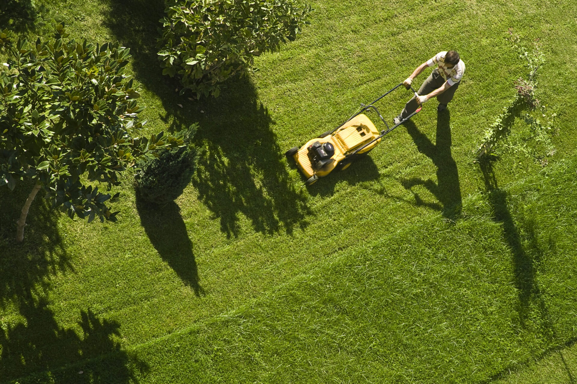 A person is mowing a lush green lawn with a yellow lawnmower, surrounded by trees casting long shadows in the sunlight.